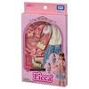 Takara Tomy Dress Basic Feminine Pretend Play Toy for Ages 3 and Up Licca-chan LW-17 Dress-Up