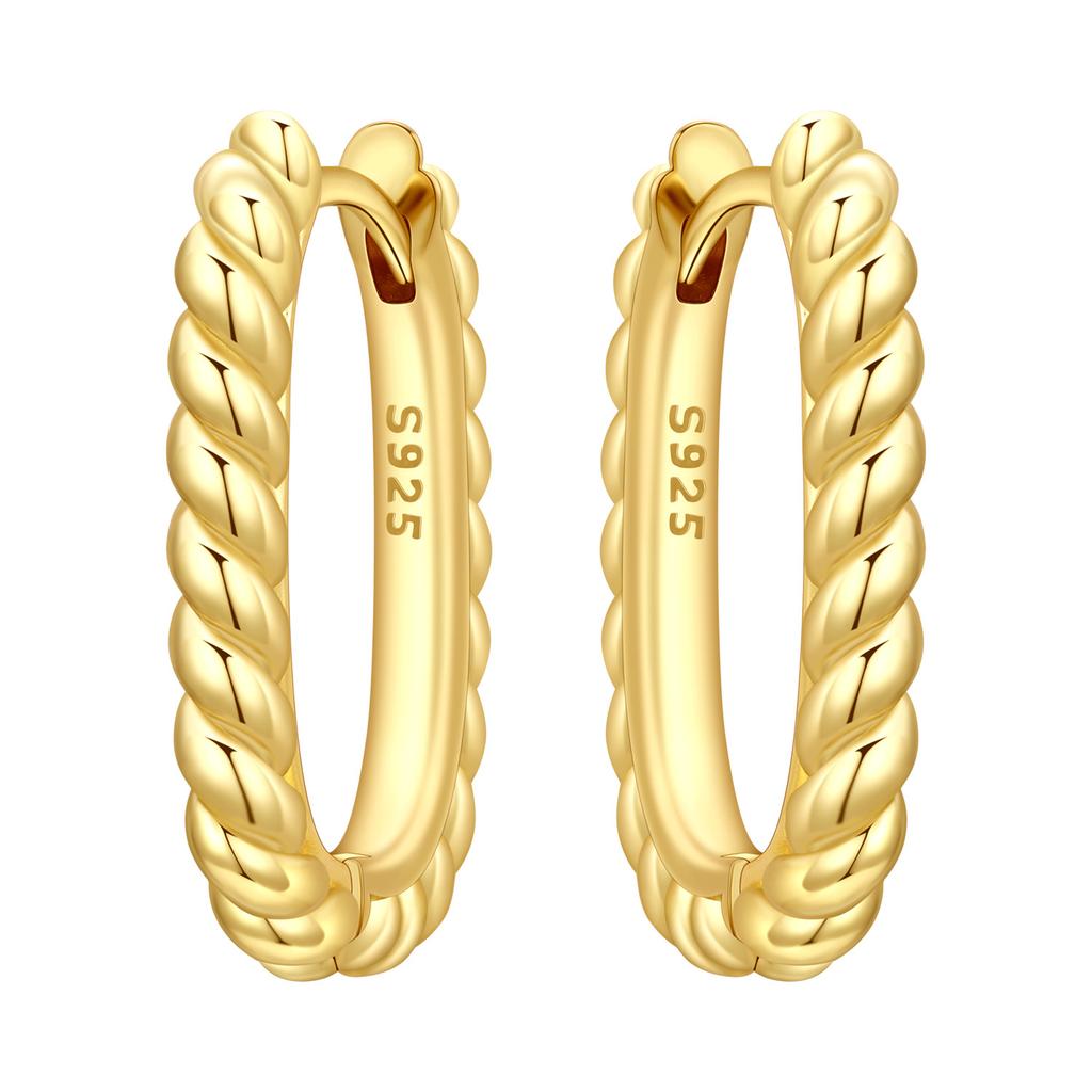Orstarry S925 Silver 18k Gold Modern Square Hoop Earrings For Women Trendy Jewelry Anniversary Gifts
