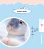 2023 Zodiac Little White Rabbit Plush Doll - Year of the Rabbit Mascot Toy