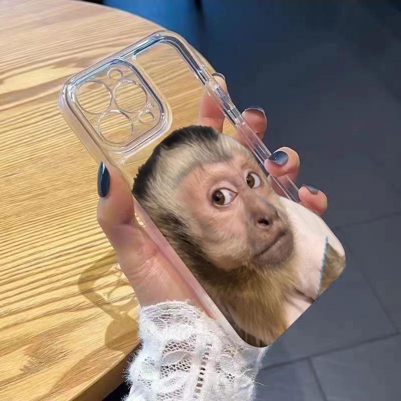 PFunny Meme Monkey Face Hone Case For iPhone 17 Air 16E 16 15 14 11 Pro Max Plus 13 12 Mini 8 7 X Transparent Shockproof Cover