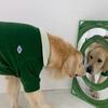 BARKDOG Terry PK T-shirt