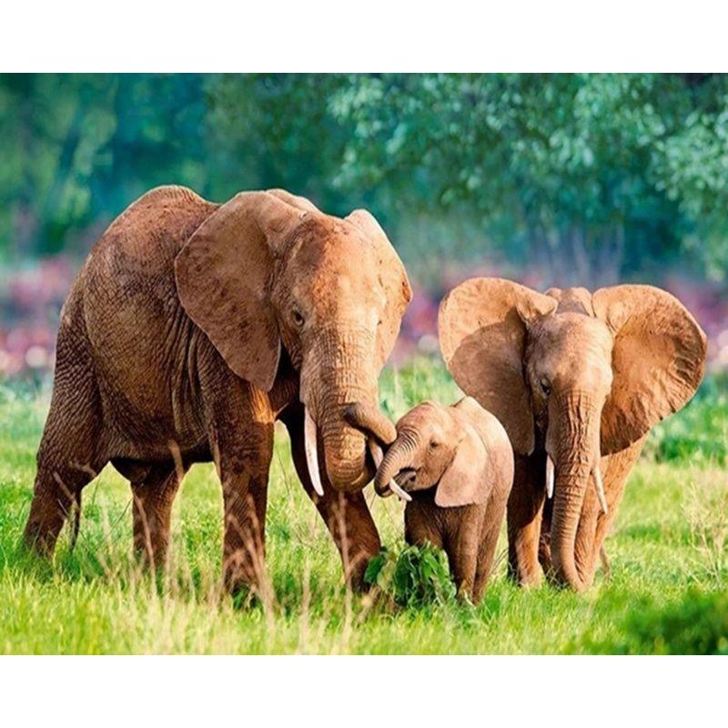 5D DIY Diamond Embroidery Animal Elephant Full Round Drill Diamond Painting Cross Stitch Home Decoration Handmade Gi