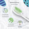 Philips HX2462 Sonic Electric Toothbrush CN plug (adapter included)