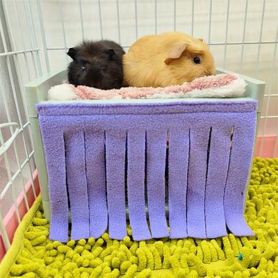 Produse pentru animale – Rozătoare