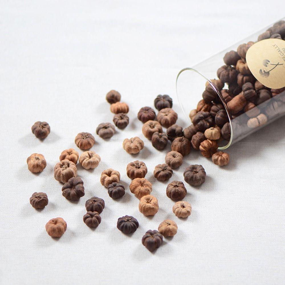 15pcs Dried Vegetables Dried Mini Pumpkins Dried Fruit Halloween Mini Pumpkins  Party Decoration
