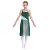 Kids Girls Mesh Overlay Ballet Contemporary Dance Dress Lyrical Leotard Costume Sleeveless Dresses