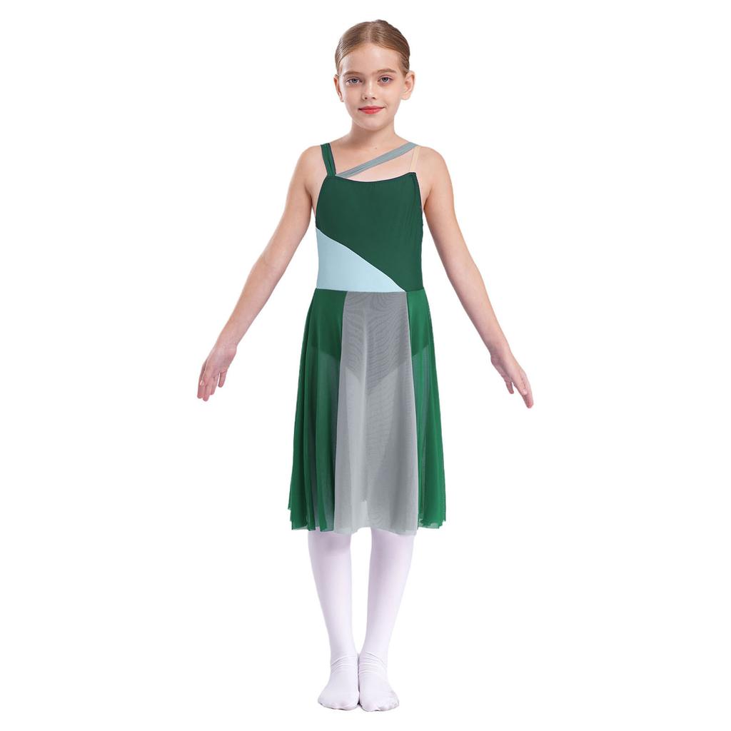 Kids Girls Mesh Overlay Ballet Contemporary Dance Dress Lyrical Leotard Costume Sleeveless Dresses