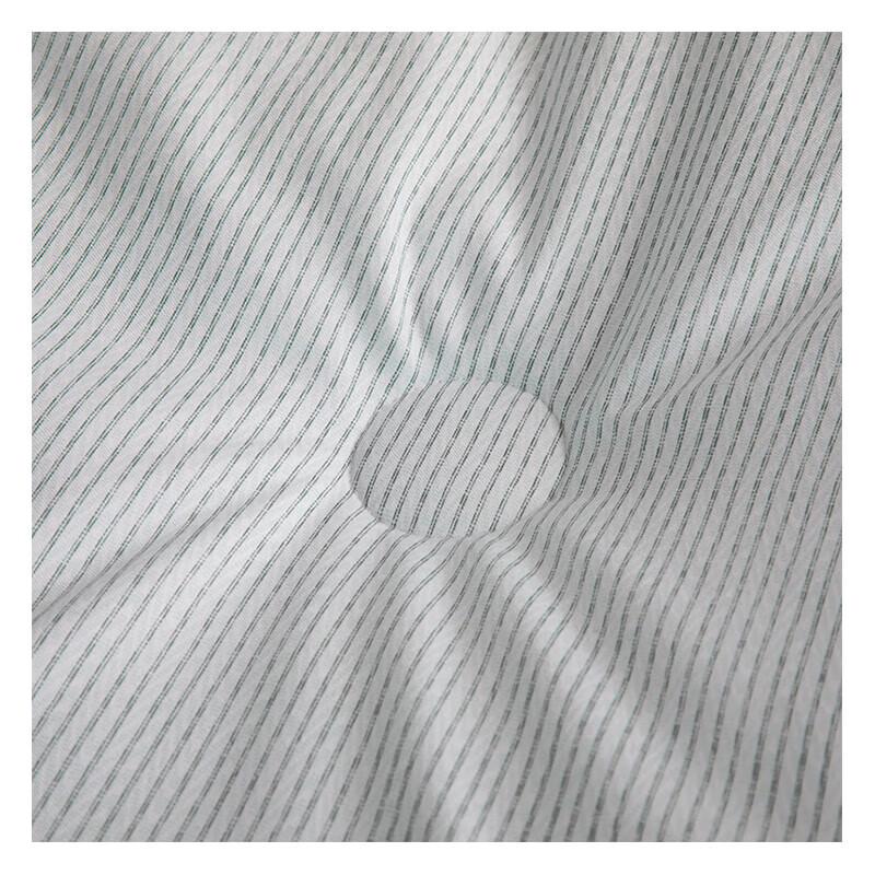 Muji Cationic Warm Core Quilt