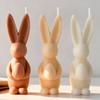 DIY Easter Bunny Egg Silicone Candle Mold Handmade Aroma Gypsum Epoxy Resin Form Mold Soap Candle Making Supplies