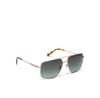 MR22LQ006S Sunglasses