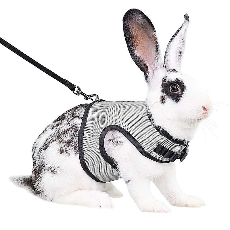 Breathable Mesh Rabbit & Small Dog Chest Harness with Leash