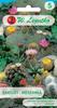Jardinagem e paisagismo – Sementes