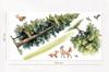 Foxes Forest Wall Stickers Xl Children'S Room Decoration