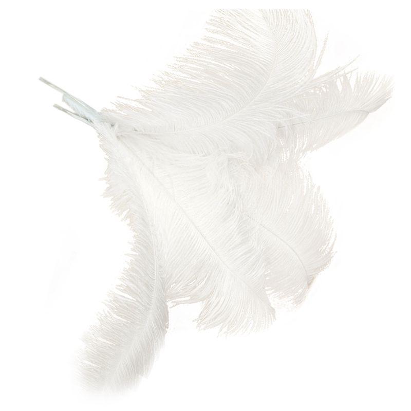 ABWR-80 Pcs Natural Ostrich Feathers Wedding Party Decoration White 45-50Cm