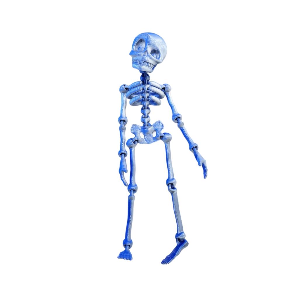 3D-gedruckte Skelettfigur Magnetischer Kühlschrankmagnet Spielzeug Heimdekoration Modell mit beweglichen Gelenken zum Ausstellen und Sammeln