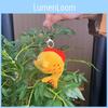 Whimsical And Fun Koi Fish Plush Doll Keychain Adorable Wedding Souvenir Toy