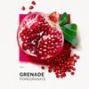 SOLINOTES Eau de toilette Grenade 50ml