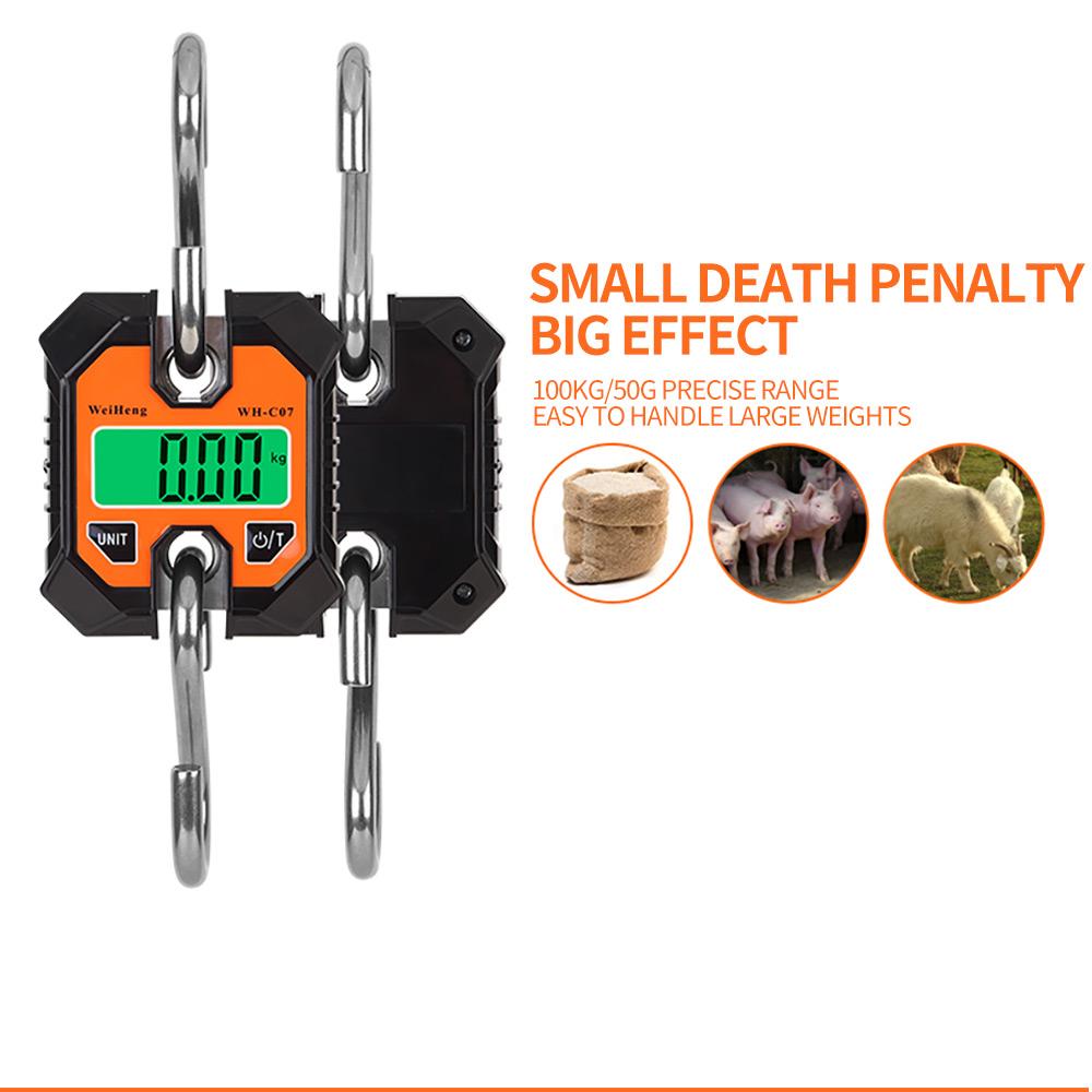 Industrial Detachable Portable Micro Crane Scale 100KG 250KG 50g Hanging Suitcase Digital Weigh Hook Electronic Scale Steel Tool