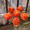Artificial Rose Flower for Flower Arrangement Realistic Faux Silk Long Stem Rose Bouquet for Wedding Centerpiece Home Party Decor