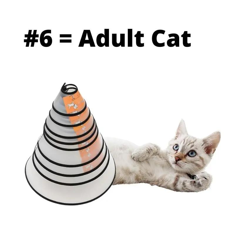 Pet Elizabeth Collar Puppy Anti Bite Grasping Collar for Small Large Dogs Recovery Cone Ring Cats Neck Wound Healing Accessories