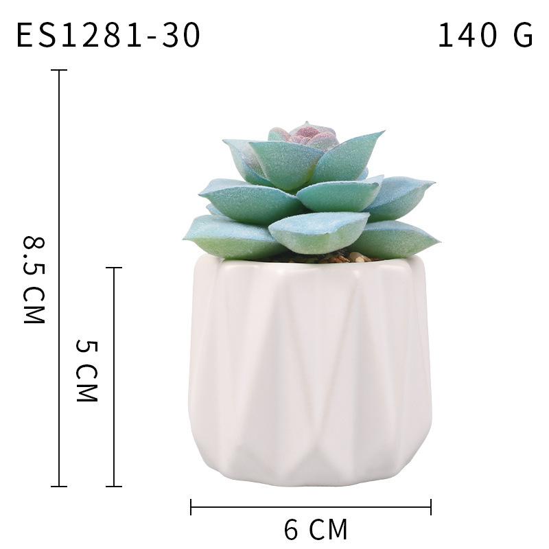 Small, Wavy Cup-Shaped Simulated Succulent Plant Potted Plant, Nordic Office Furniture Fresh Decoration