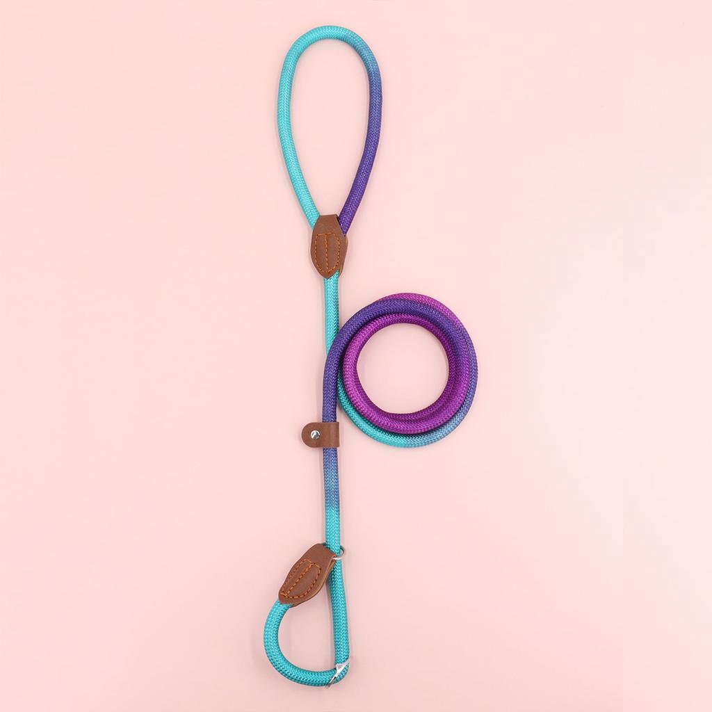 New Vibrant and Stylish Dog Leash for Safe and Fashionable Walks - Durable and Adjustable, Perfect for Small To Medium-Sized Dog