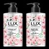 Antibacterial Hand Wash - Cherry Blossom Scent (2x400g)