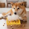 Interactive Pet Puzzle Toy, Anti-Stifling Slow Feed for Dogs, Wear Resistant PP Material