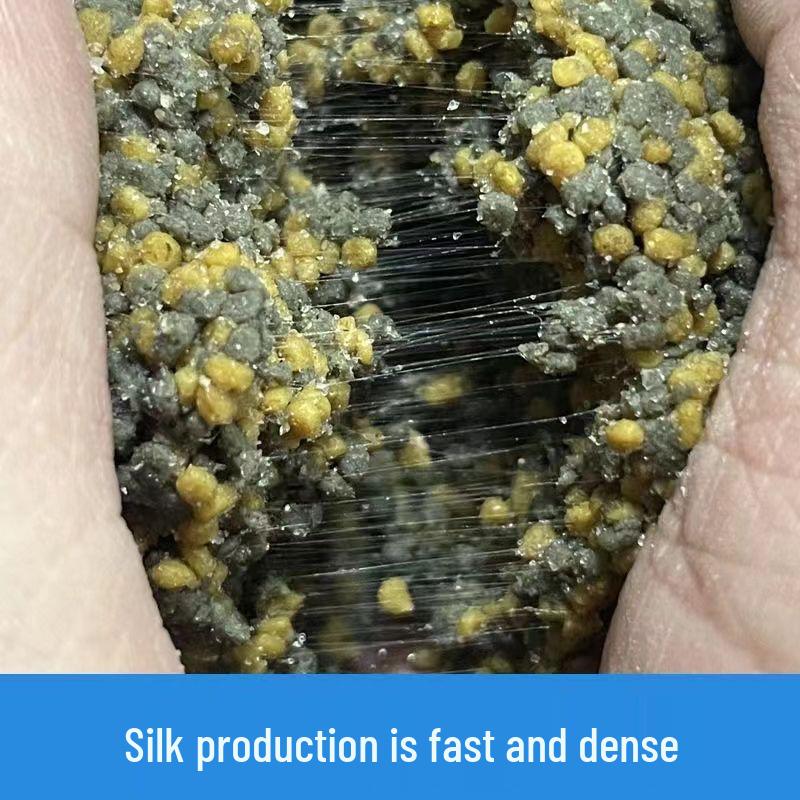 Bubble Ball Zes-in-één Visvoer Additief: Zwarte Put Wild, Kleverig, Kwallen, & Karper Poeder