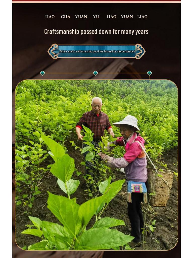 Vacuum-Fermented GABA Tea Whispers, 82g Box