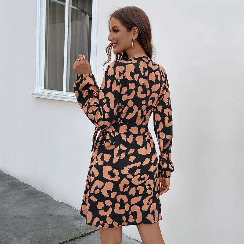YYFS Women's Fashion Spring Autumn Leopard Print Long Sleeve V-Neck Middle Waistline Casual Dresses
