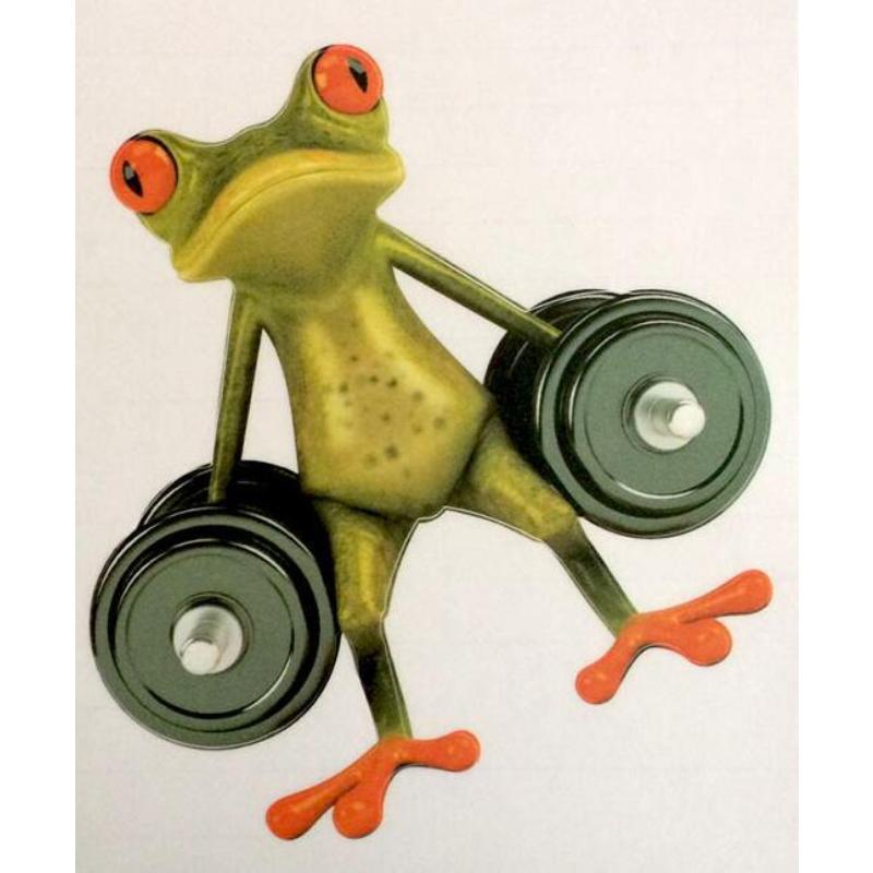 Universal Motorcycle Sticker Scratch Sticker Fuel Tank Sticker Motorbike Waterproof Frog Decoration Sticker Decal Accessories