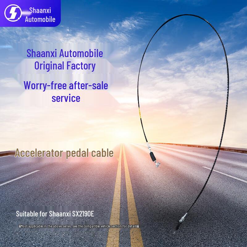 SHACMAN Truck Control and Electrical Parts