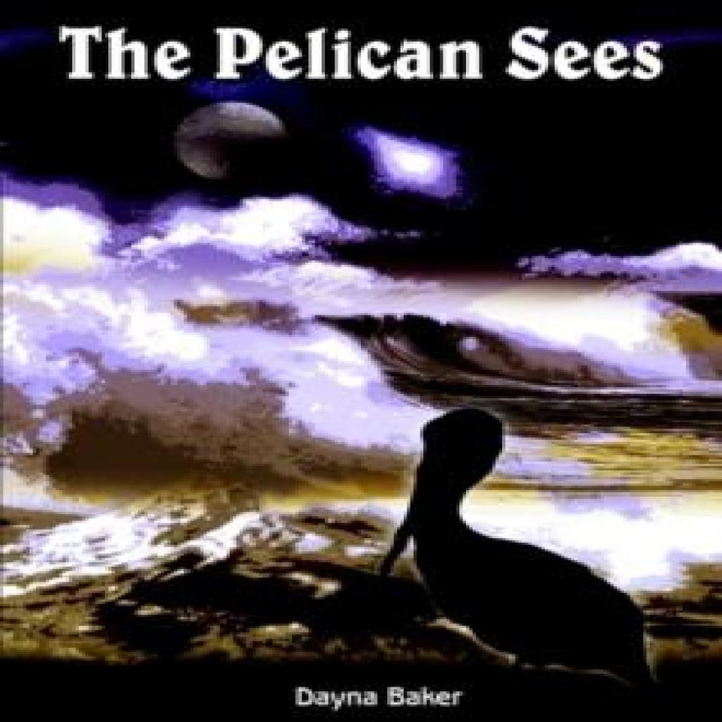 The Pelican Sees by Dayna Baker Hardback Book 9781403348586