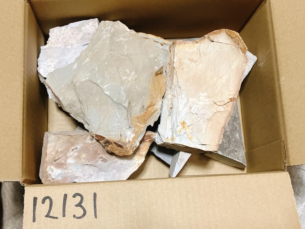 Natural Yamashiro Famous Rough Nakayama Iris Made In Ukyo Seihonyama Finished Forged Iyoto Made In Sample 60 Size Fake Original Fake Honzan Epidemic