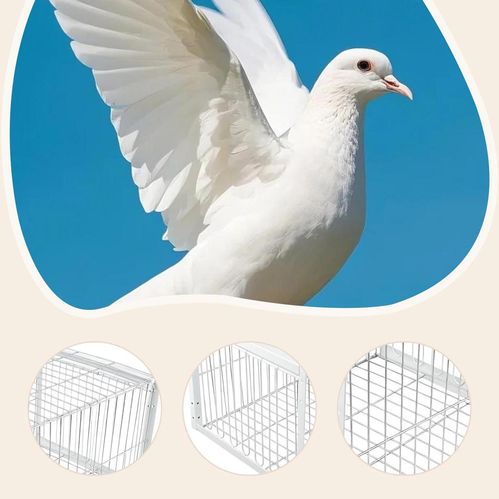 Jaula Resistente Fácil de Montar de una Sola Dirección Adorno de Hierro Recogida Automática de Palomas para Granjas de Pollos Palomas