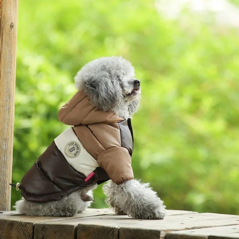 

Куртка Wasserdichte Hunde Winter Haustier Daunen Baumwolle Weste Luxus Hunde kleidung Чихуахуа Französisch Bulldogge Hunde mantel Welpe Warmes Hunde