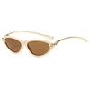Women's Cat-Eye Sunglasses with Metal Knot Temples