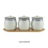 Qianxing Japanese Ceramic Seasoning Jar Set