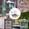 Bird Feeder Transparent Pet Supplies With Steel Bowl Parakeet Cage Feeder Water Tray For Cockatiels Lovebirds Budgies Parakeet