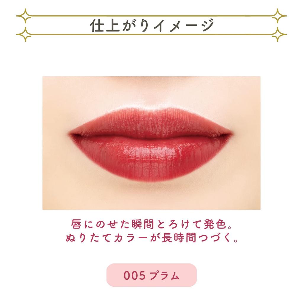 Blend Berry Rich Glow Lip Lipstick 005 by KOSE (Plum)