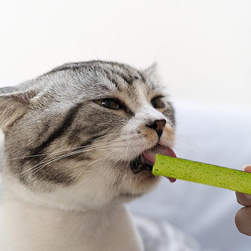 Cat Grass Chew Stick Natural Grass Tooth Grinding Stick Multi-Functional Grass Tooth Grinding Stick For Indoor Cats Teeth Caring
