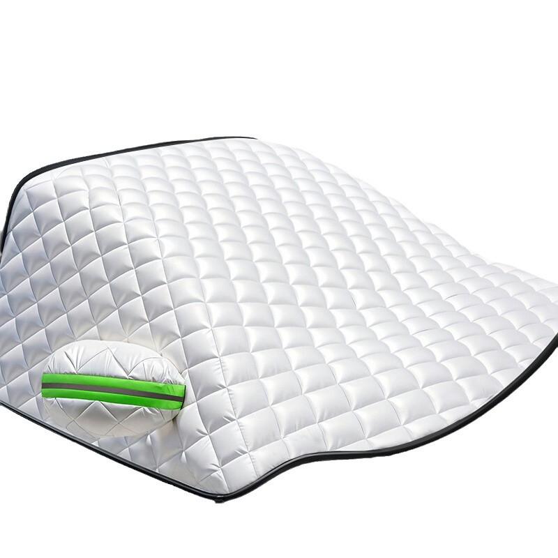 BYD Song Plus/DMI, Dolphin, Seagull, Han, Qin Kryt proti námraze a sněhu na přední sklo