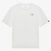 The North Face Men S Summer Camp Short Sleeve Tee White nt7uS04b
