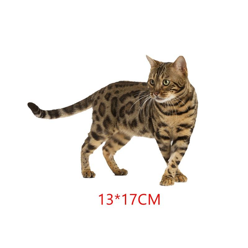 

Tri Mishki Wcs629 11x21 см домашнее животное бенгальская кошка сибирский кот забавные наклейки для автомобиля авто наклейки на стены