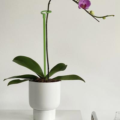 Topfständerform, Pflanze, rostfrei, langlebig, verformungsbeständig, langlebig, breite Anwendungen, wiederverwendbar, zum Klettern von Pflanzen, stabile Pflanzenstützpfähle für Amaryllis