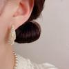 Women's Light Luxury Super Sparkling Exquisite Fashion Earrings