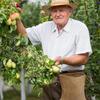Multi Functional Outdoor Vegetable and Fruit Picking and Storage Bag. Waist Hanging Tool Waist Bag. Foldable Storage Bag