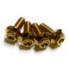 Titanlegierung (64 Titan) Kennzeichenschrauben (goldene Farbe, 4