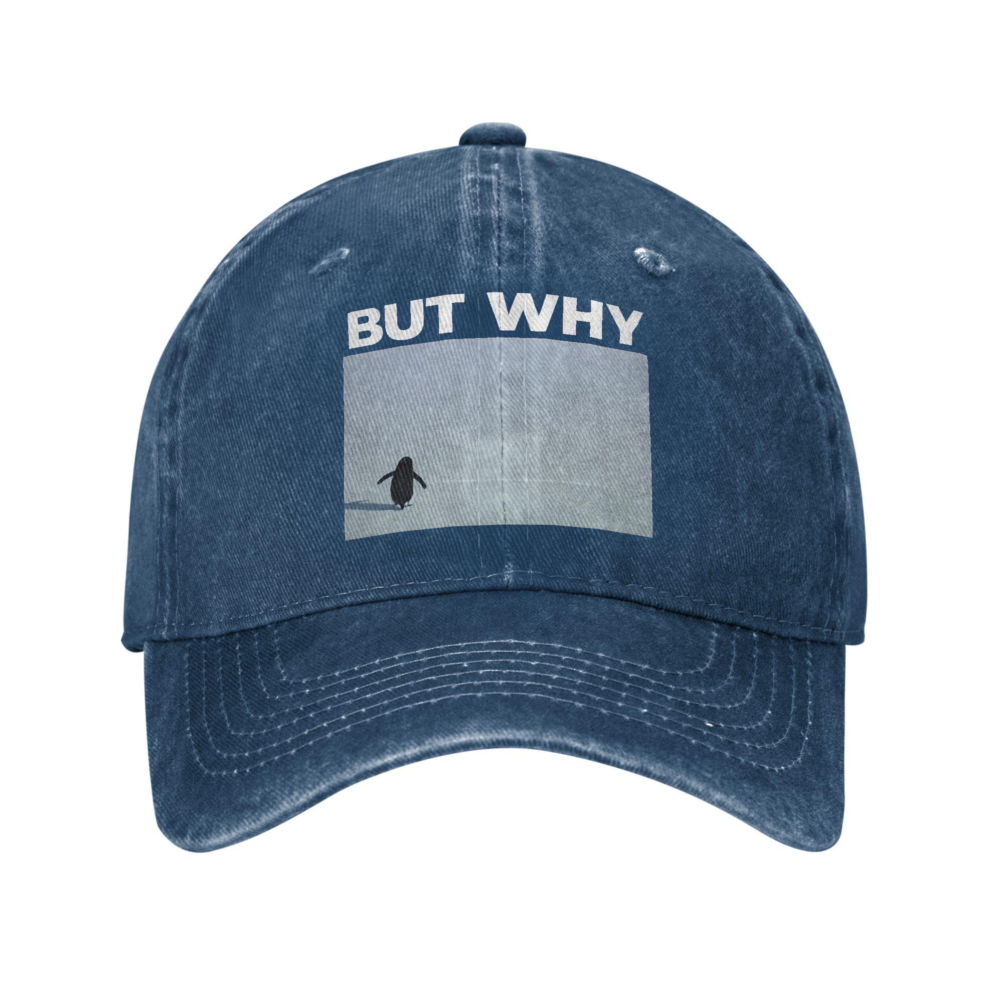 

NihilistPenguin But Why Sun Baseball Cap UnisexTeens Trucker Hat Spring Trendy Outdoor Sport Breathable Baseball Caps One Size